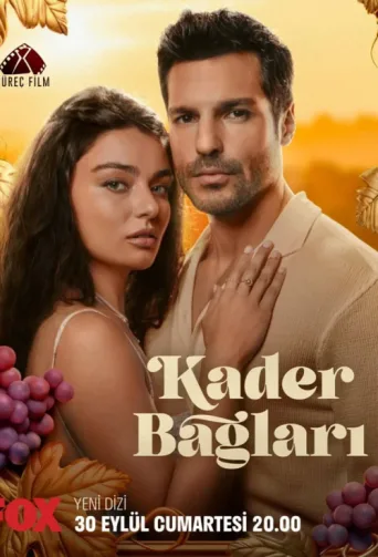 Póster de Kader Bağları
