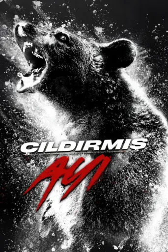 Poster for Çıldırmış Ayı