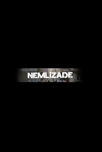 Nemlizade afişi