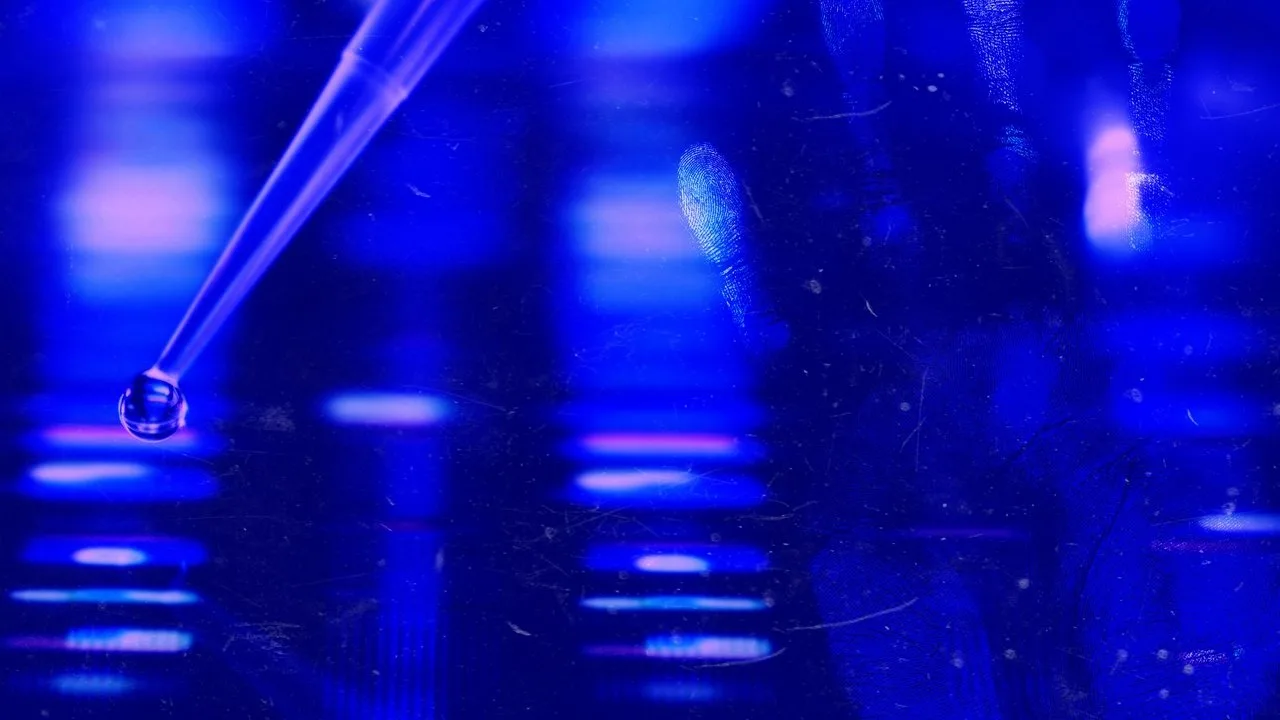 خلفية لـ Forensic Files II