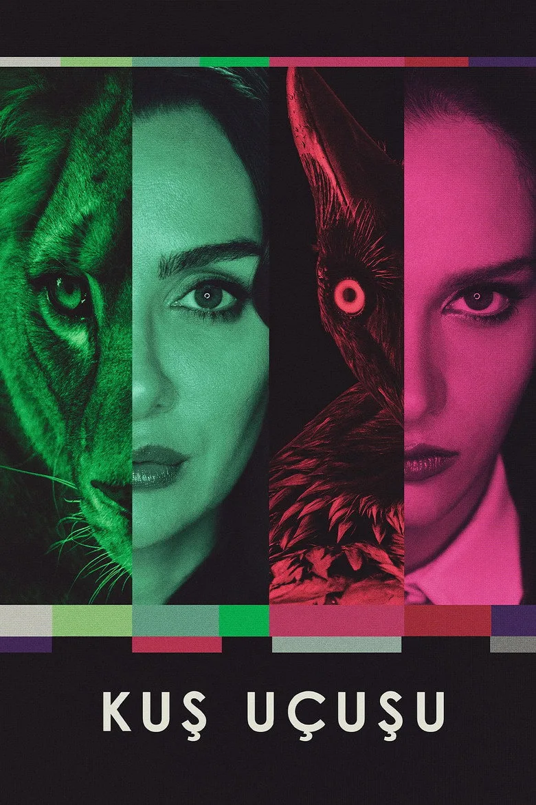 Kuş Uçuşu poster