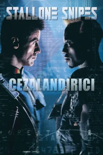 Cezalandırıcı afişi