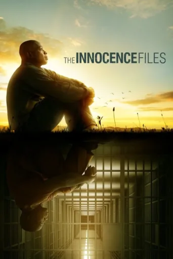 The Innocence Files afişi