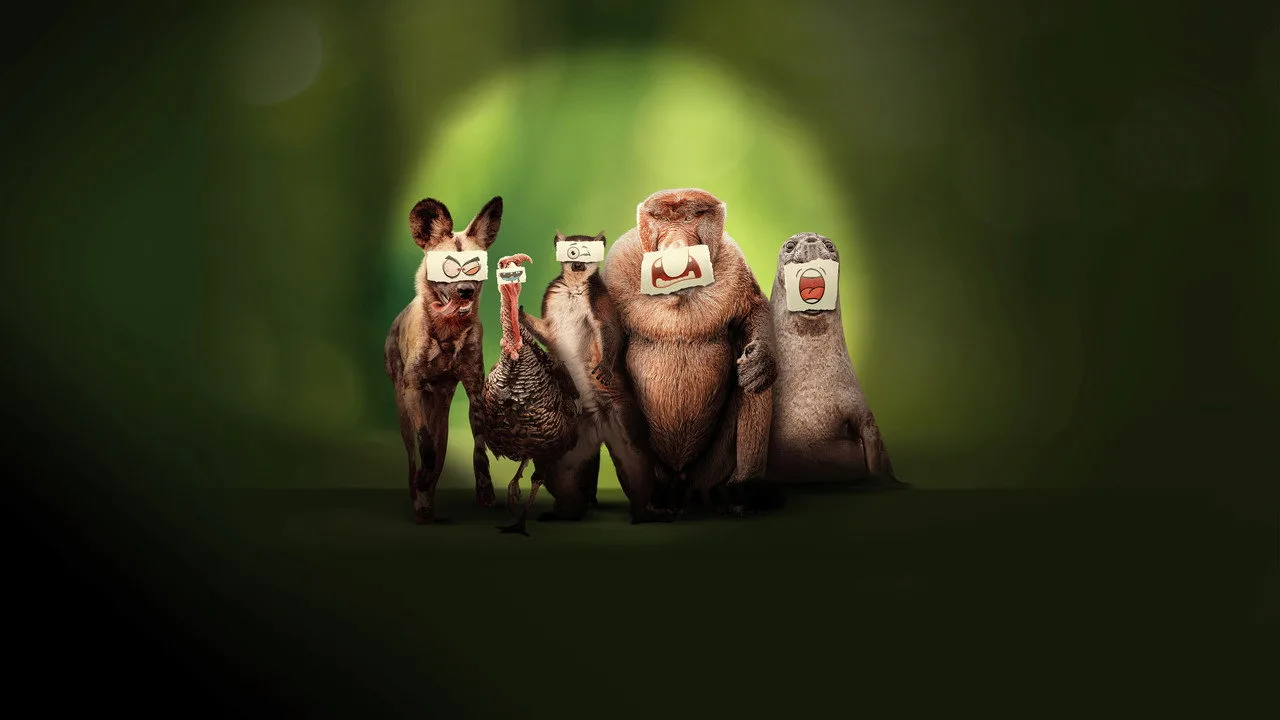 خلفية لـ Underdogs