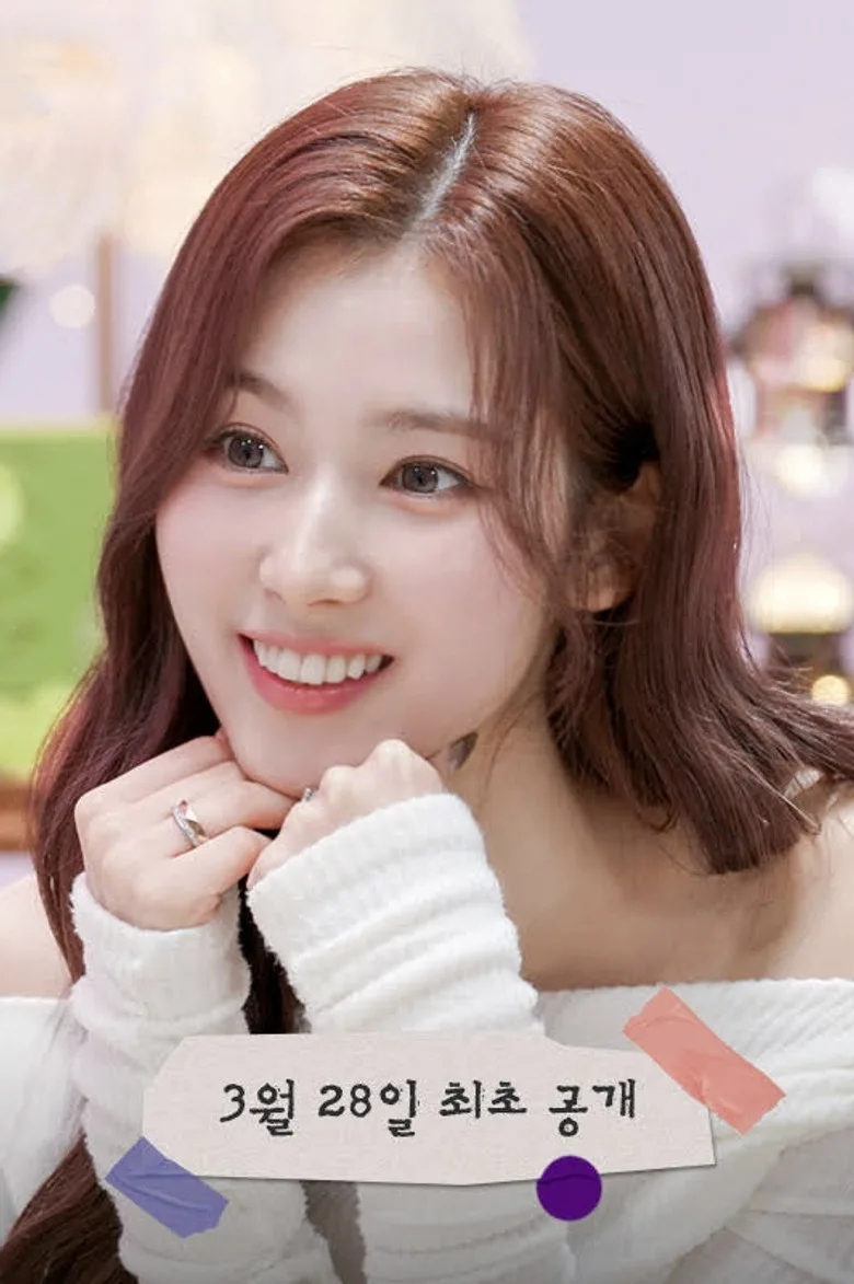 Sana’s Fridge Interview poster