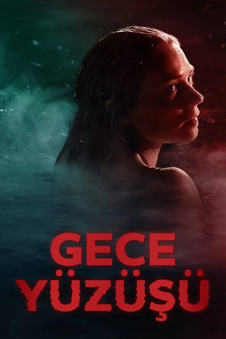 ملصق Gece Yüzüşü