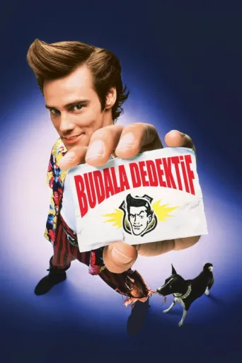 ملصق Budala Dedektif