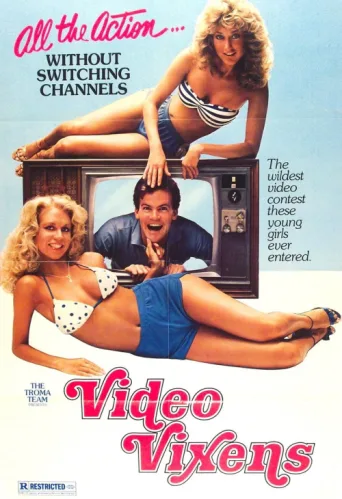 Постер Video Vixens!