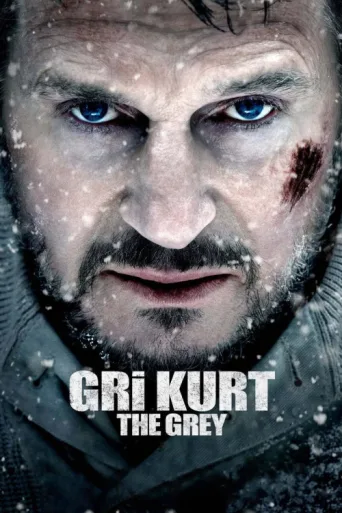 Gri Kurt afişi