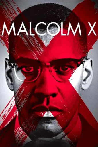 Постер Malcolm X