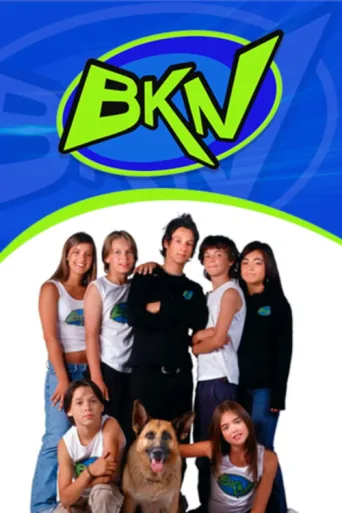 BKN afişi