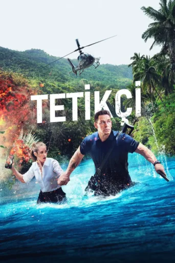 Poster for Tetikçi
