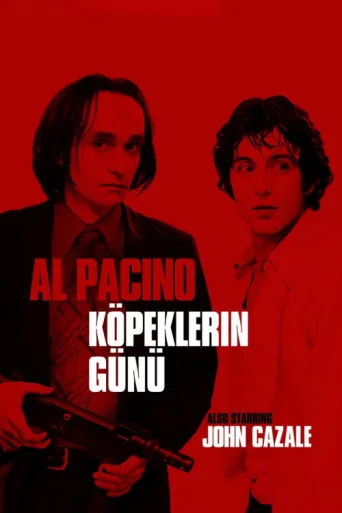 Póster de Köpeklerin Günü