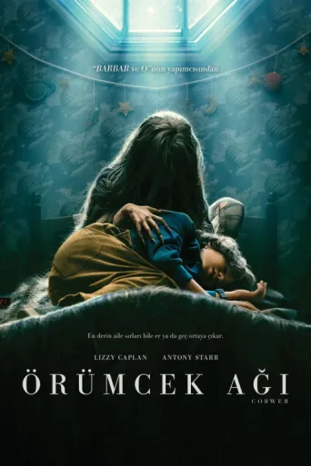 Póster de Örümcek Ağı