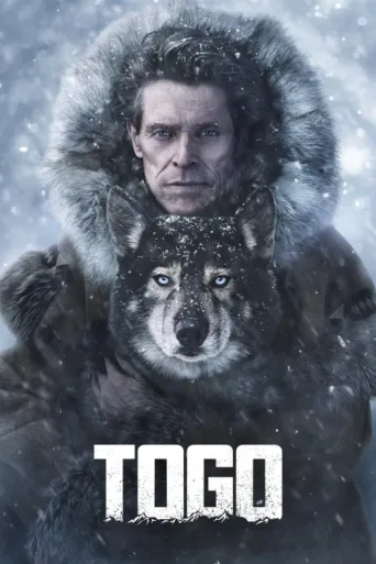 Постер Togo