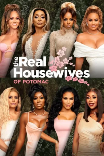 Постер The Real Housewives of Potomac
