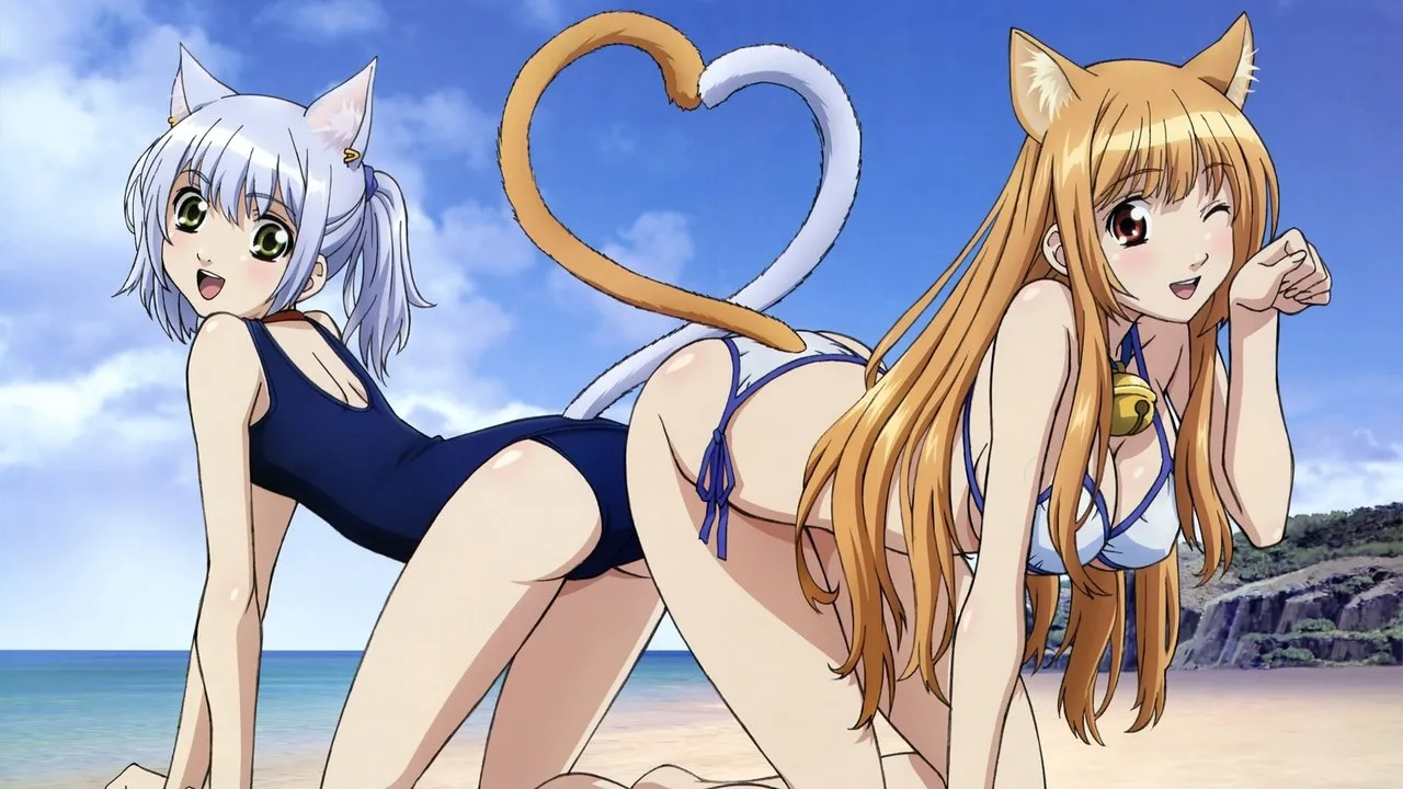 Cat Planet Cuties için arka plan görseli