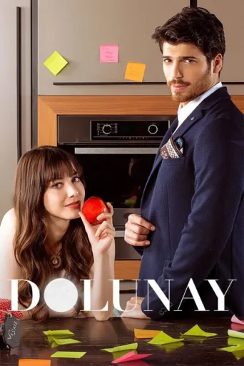 Poster for Dolunay
