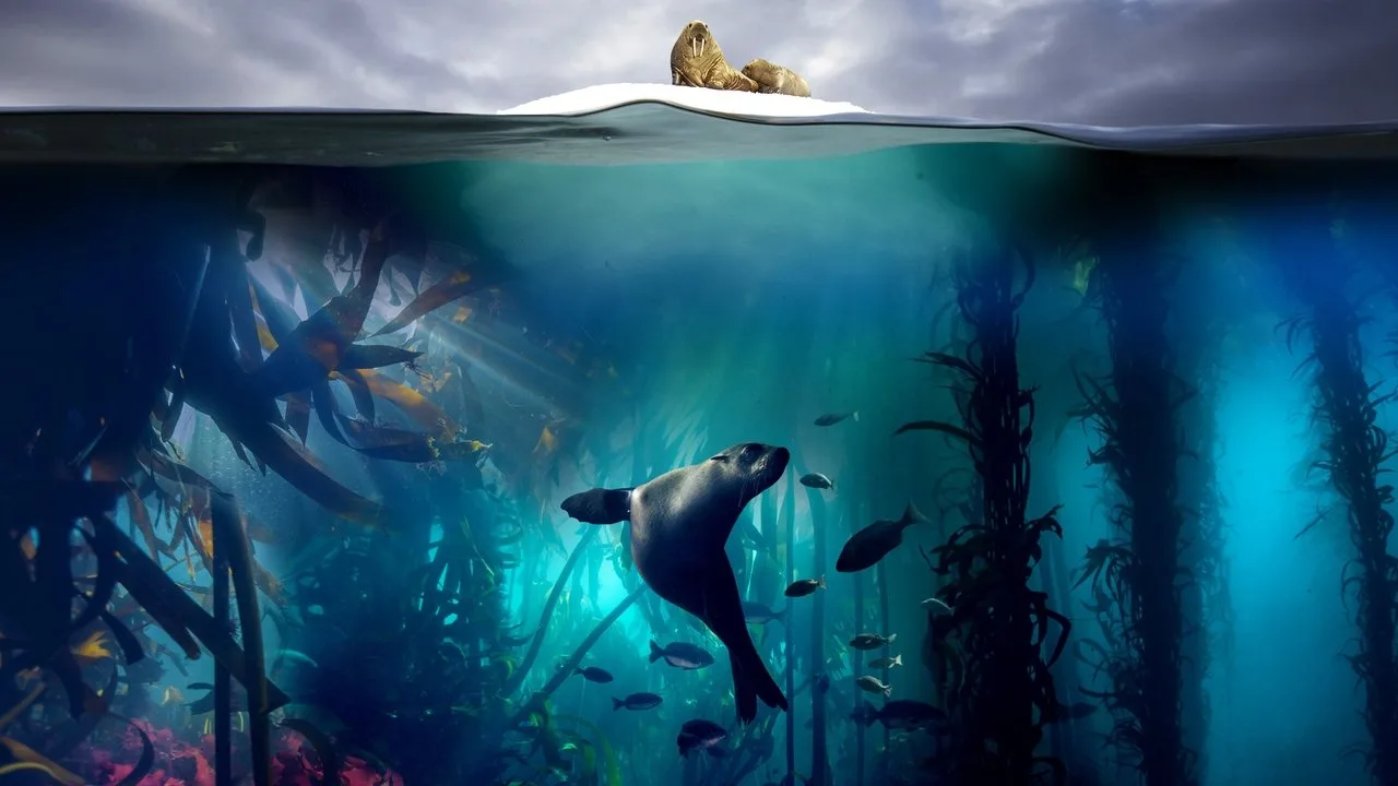 Фоновое изображение для Blue Planet II