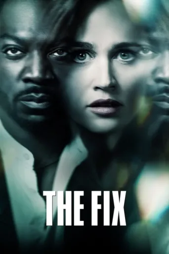 Постер The Fix
