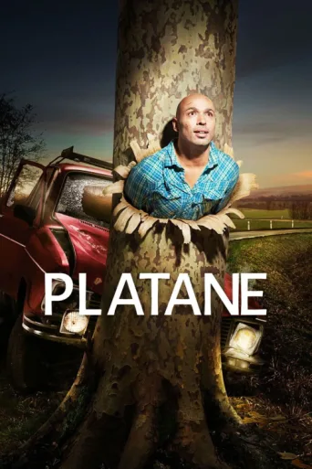 Platane afişi