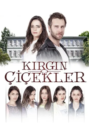 Póster de Kırgın Çiçekler