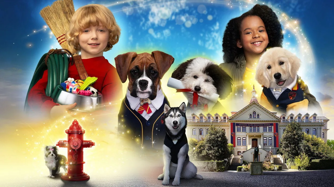 Pup Academy için arka plan görseli