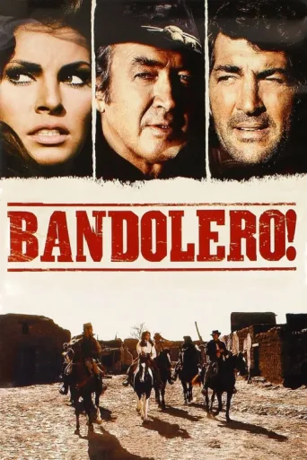 Постер Bandolero!