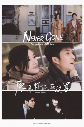 Never Gone afişi