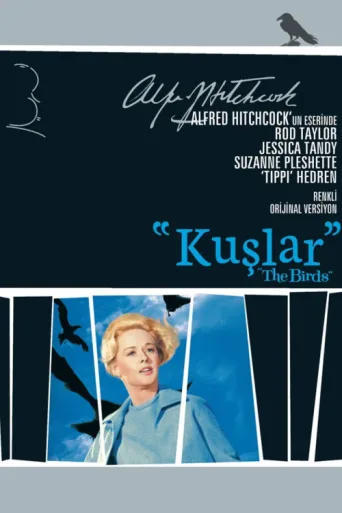 ملصق Kuşlar
