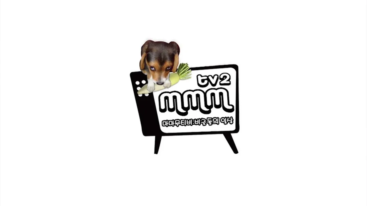 خلفية لـ MMMTV