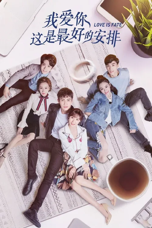 我爱你,这是最好的安排