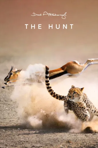 Постер The Hunt