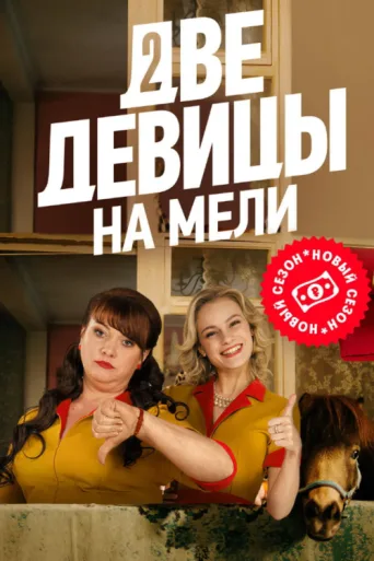 Two Broke Girls afişi