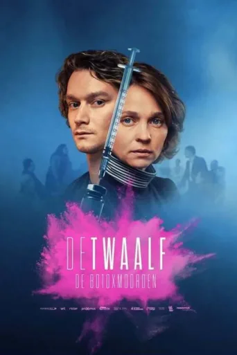 Poster for De Twaalf