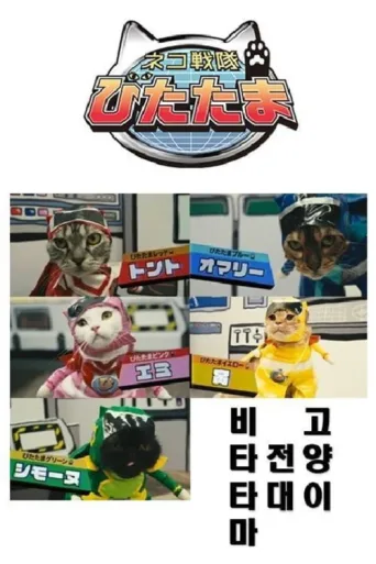 Póster de Cat Squadron Vitatama