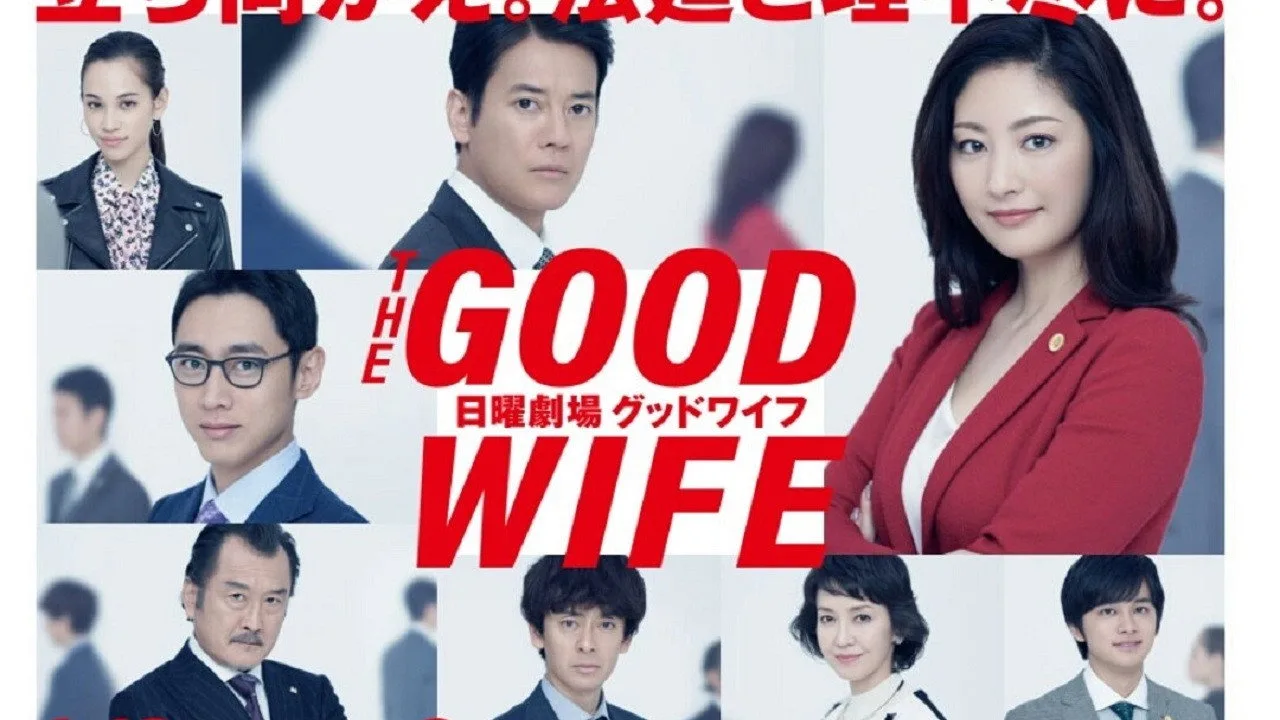 The Good Wife için arka plan görseli