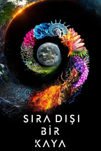 Постер Sıra Dışı Bir Kaya
