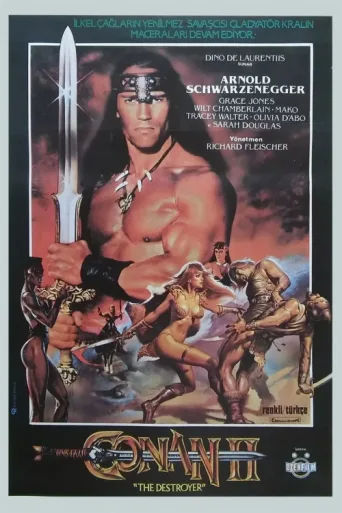 Постер Conan II