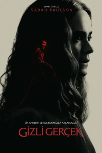 Póster de Gizli Gerçek