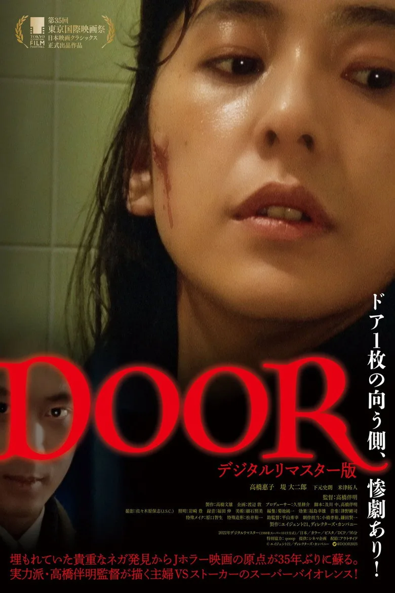 постер DOOR