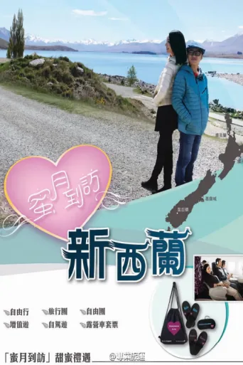 Póster de 蜜月到訪