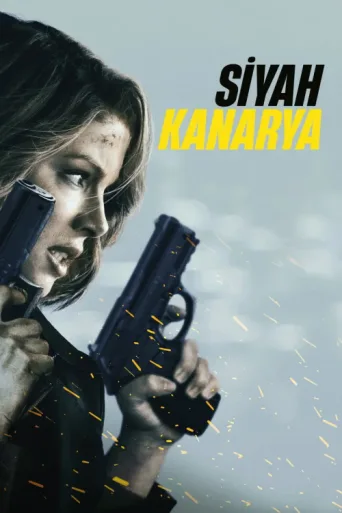 Póster de Siyah Kanarya