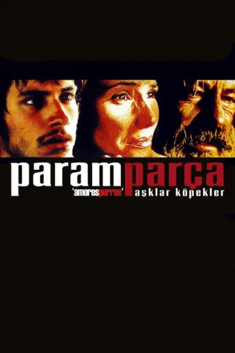 Poster for Paramparça Aşklar Köpekler