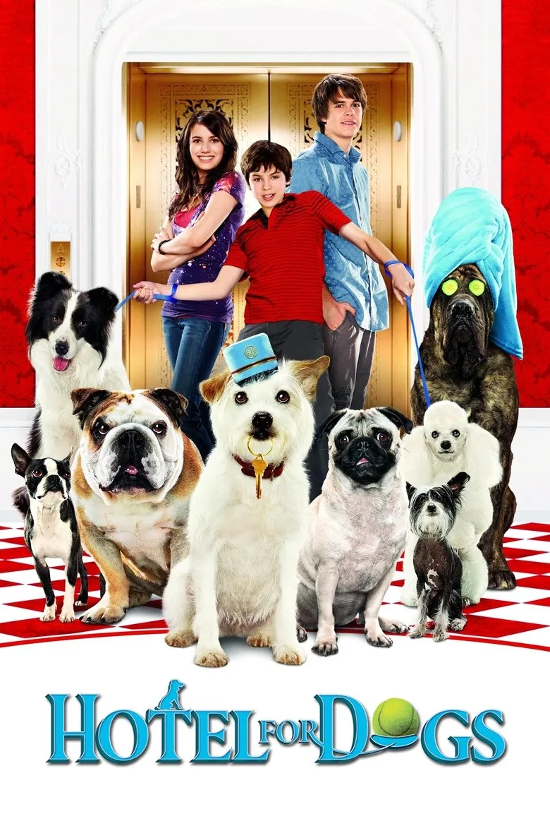 Credit poster