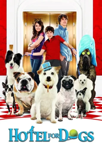 ملصق Köpek Oteli