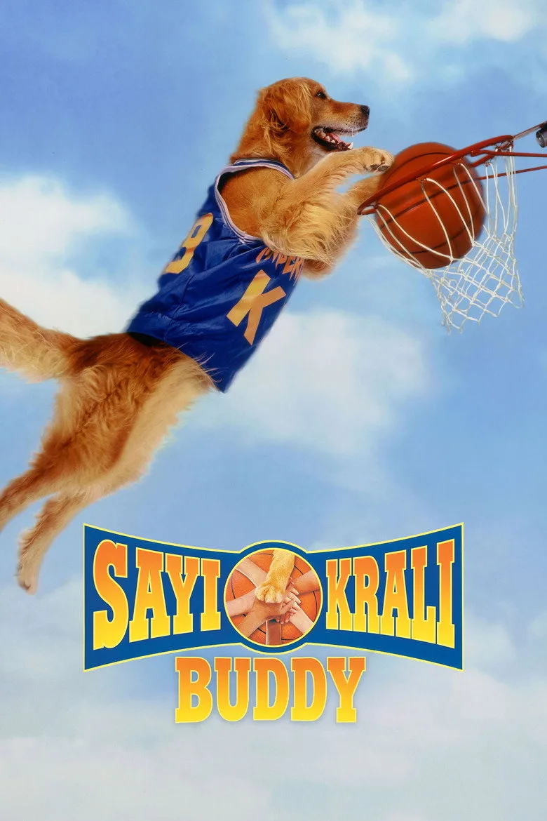 Sayı Kralı Buddy