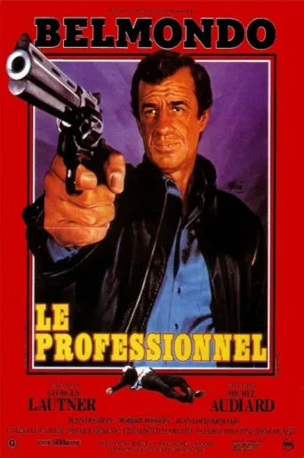 Póster de Profesyonel