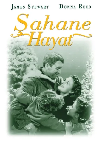 Póster de Şahane Hayat