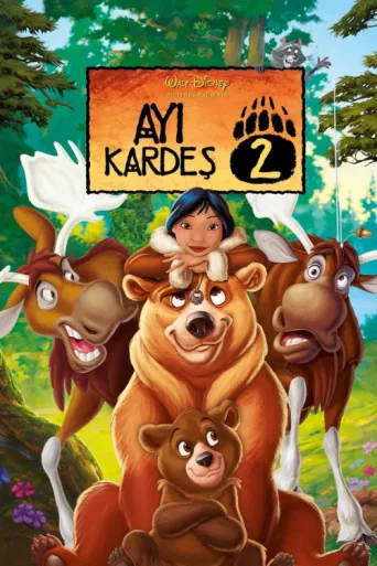 Постер Ayı Kardeş 2
